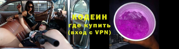 СК Каменногорск