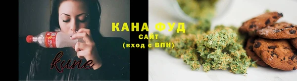 СК Каменногорск