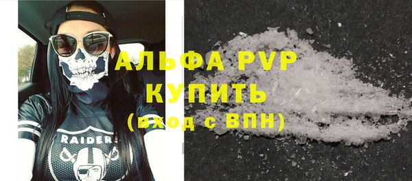 СК Каменногорск
