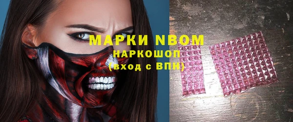 СК Каменка