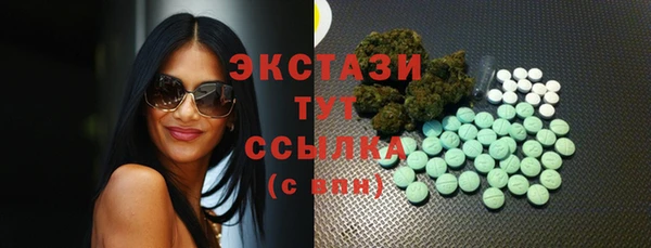 СК Каменка