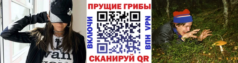 Псилоцибиновые грибы мухоморы  Купить закладки  Гаврилов-Ям 